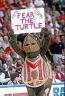 Fear the Turtle