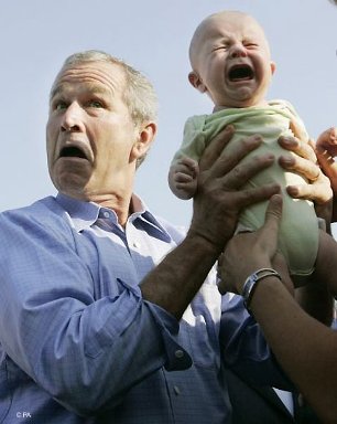 babybush.jpg babybush.jpg