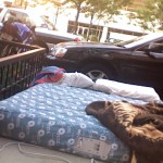 iPhone Camp Out