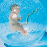 Ectogenesis Artificial Womb