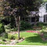 Suburban yard