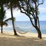 hammock