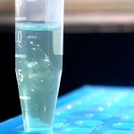 dna-test dna-test