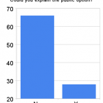 could_you_explain_the_public_option