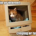 internet-fail-cat