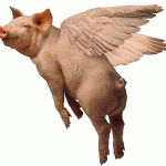 pig-fly