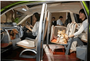 Photo: Pet dogs sit in special crates for dogs in the glove apartment at the front and bigger crate in the back seat of Honda Motor Corp.'s W.O.W Concept vehicle during a media preview in Wako, north of Tokyo, Monday, Sept. 26, 2005. With wide sliding doors, the concept vehicle that stands for 'wonderful openhearted wagon,' features special crates for pet dogs. It is an exhibition model with no plans for commercial sale that will be exhibited at the Tokyo Motor Show that opens on Nov. 19. (AP Photo/Koji Sasahara)