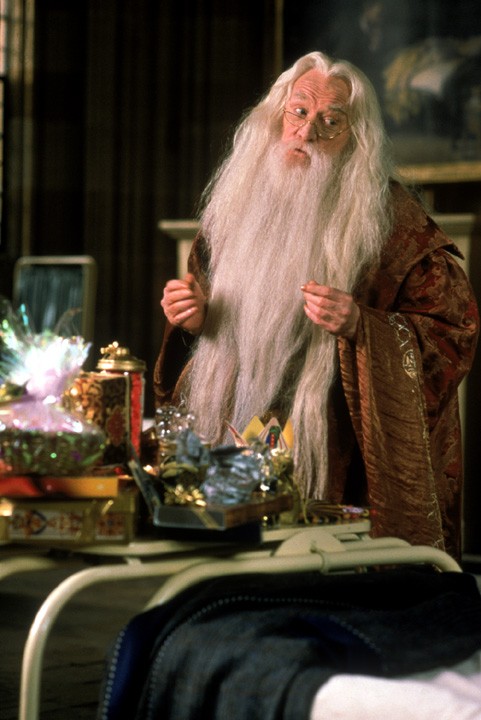 Dumbledore Gay Photo