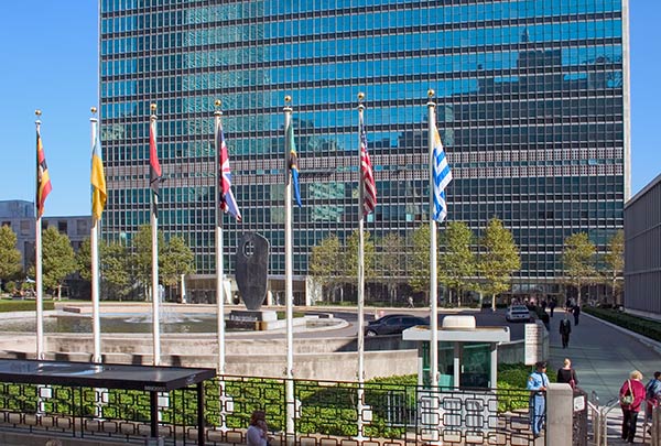 UN Flags Photo
