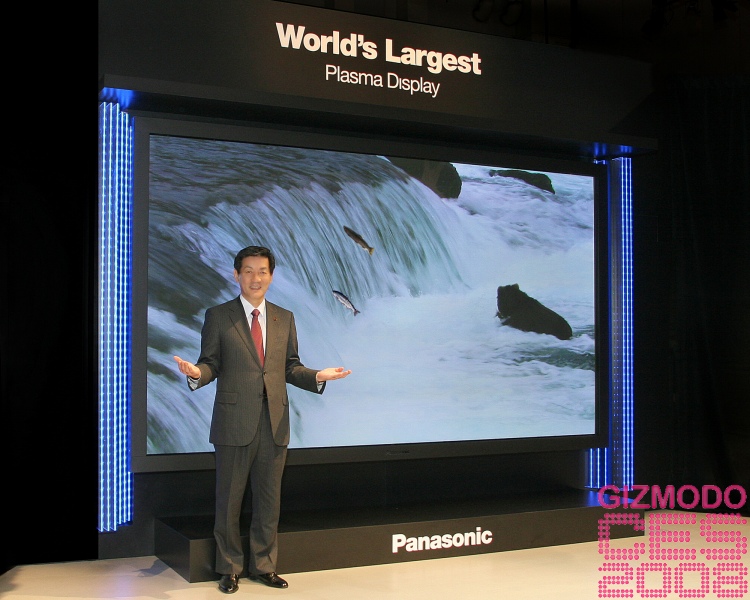 Panasonic 150-Inch Plasma TV Photo