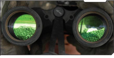 FP Military Study - Binoculars