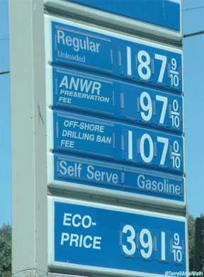 Eco Price for Gasoline