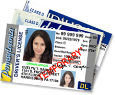 TSA ID Requirements