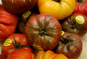 NANCEE E. LEWIS / Union-Tribune Heirloom tomatoes have found their way into many restaurants after an outbreak of salmonella linked to raw tomatoes has led to the removal of certain varieties from the market. 