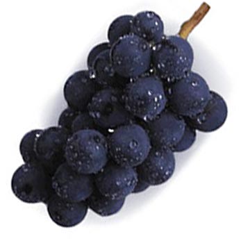 purple-grapes
