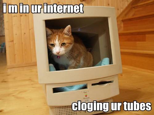 internet-fail-cat