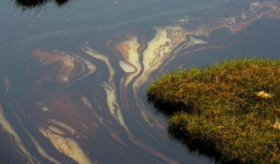 2ea66524dea0b962_custom_665xauto-570x334