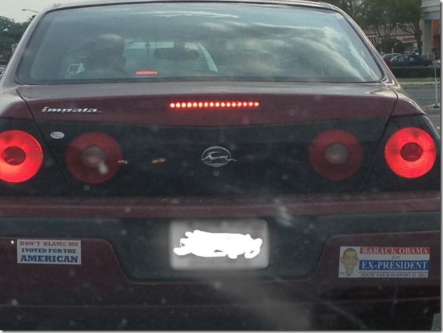 Birther in the Wild Birther in the Wild